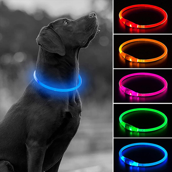 LED-lampa för hundhalsband USB laddningslampa för hundhalsband, lämplig för små och medelstora hundar (blå, 50 cm)