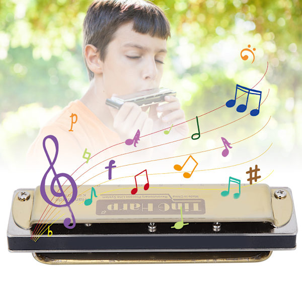 Blues Harmonica 10-hulls munnspill diatonisk harpe Db-nøkkel nybegynnergaver blåseinstrument Golden
