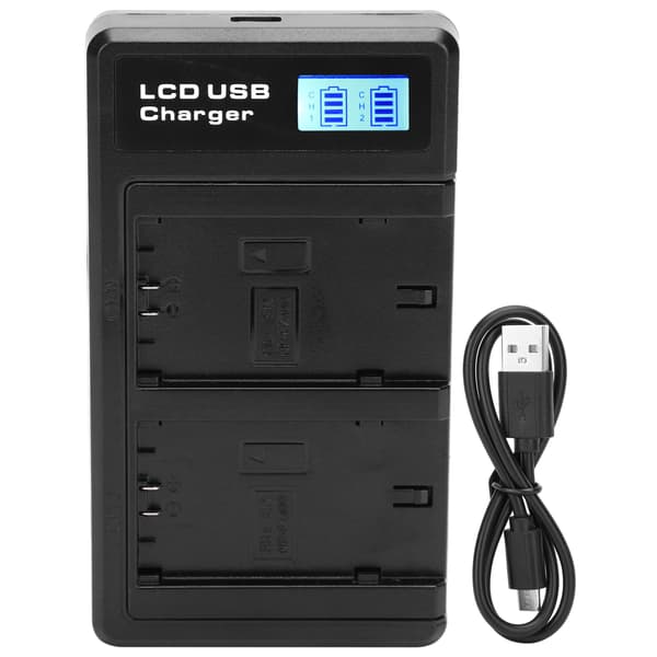 LCD-skærm Lithium Batteri Dobbelt Oplader USB Opladningsbase til NPFZ100