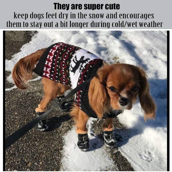 Koirakengät lämpimät saappaat talvi vedenpitävät liukueste nahka pentu tassu suojat Booties lumelle/jääpäällysteelle
