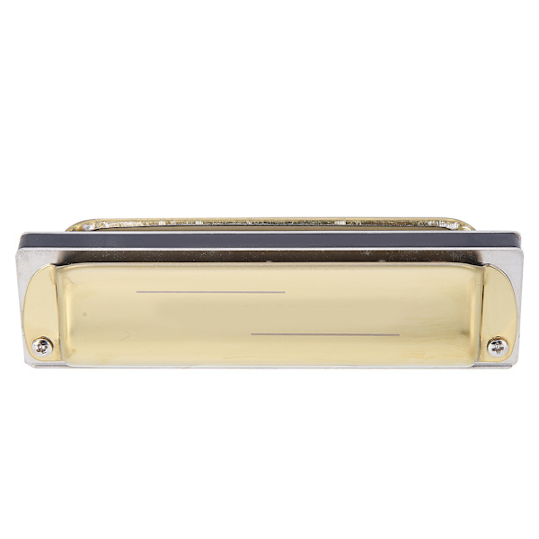 Blues Harmonica 10-hulls munnspill diatonisk harpe Db-nøkkel nybegynnergaver blåseinstrument Golden