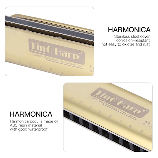 Blues Harp Harmonikka 10-Reikäinen Suupielisoitin #F-Ääni Musiikkilahjat Ruostumattomasta Teräksestä Valmistettu Kotelo Vedenkestävä Kulta