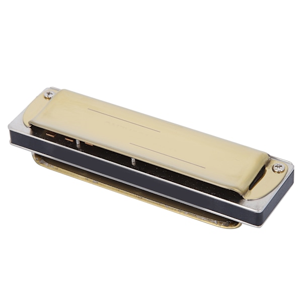 Blues Harmonica 10-hulls munnspill diatonisk harpe Db-nøkkel nybegynnergaver blåseinstrument Golden