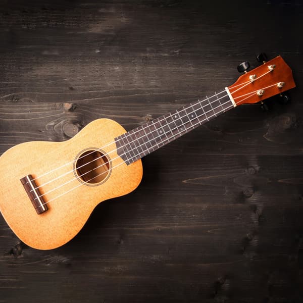 297mm Længde Palisander Gribebræt Udskiftningssæt til 30in Ukulele