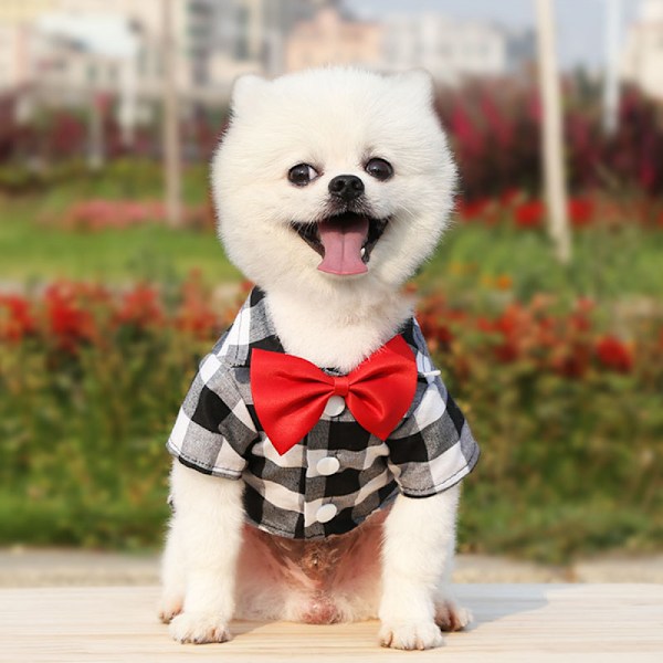 Ternet kæledyrsskjorte hundepolortrøje kæledyrstøj åndbar katte-T-shirt (størrelse M)