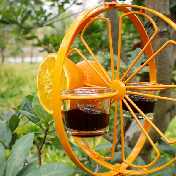 Oriole fuglefoderbræt til udendørs brug, metal hængende orange frugtfoderbræt med 2 glaskopper, druegelé og orangefoderbræt til orioler, Bac