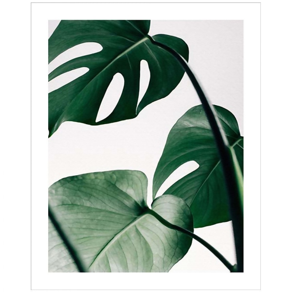 Wekity Botaniska väggkonsttryck Set med 3 tropiska löv Canvasdekor Växtblad Boho väggdekorbilder Gröna Boho Posters Set Badrumsvägg A