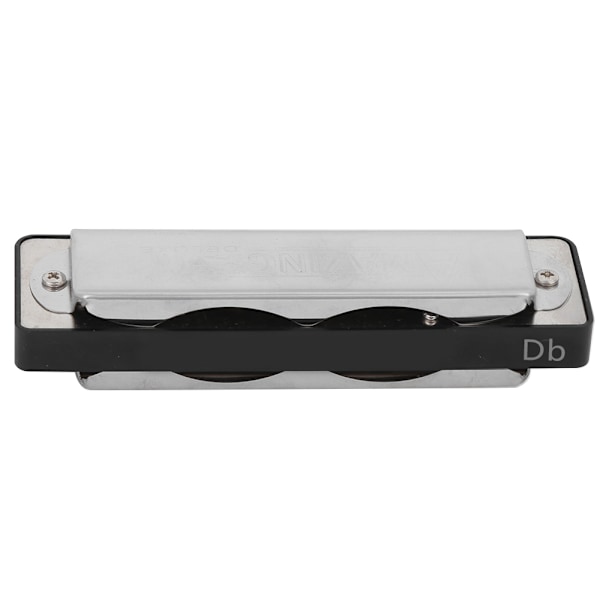 Blues Harmonika 10 Hull Mouthorgan Db Nøkkel ABS Resin Profesjonell Nybegynner Vindinstrument Svart