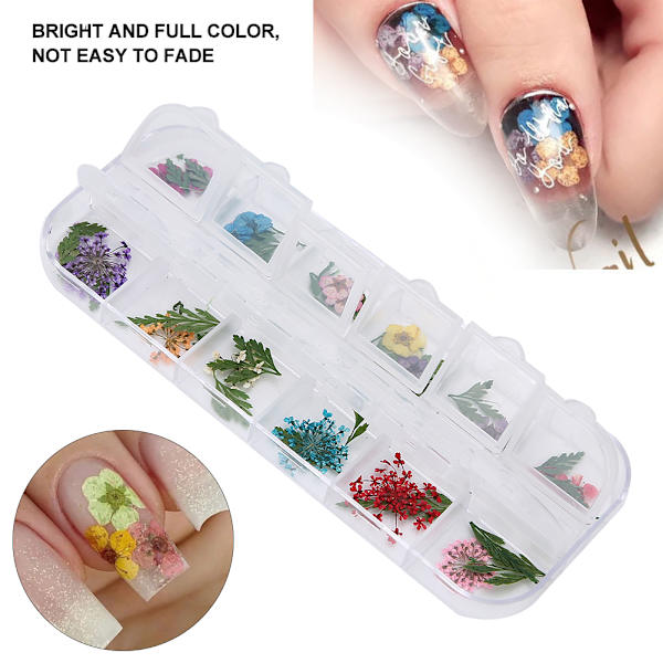 12 färger / låda torkade blommor nageldekoration DIY nagelkonstdekoration tillbehörE stil