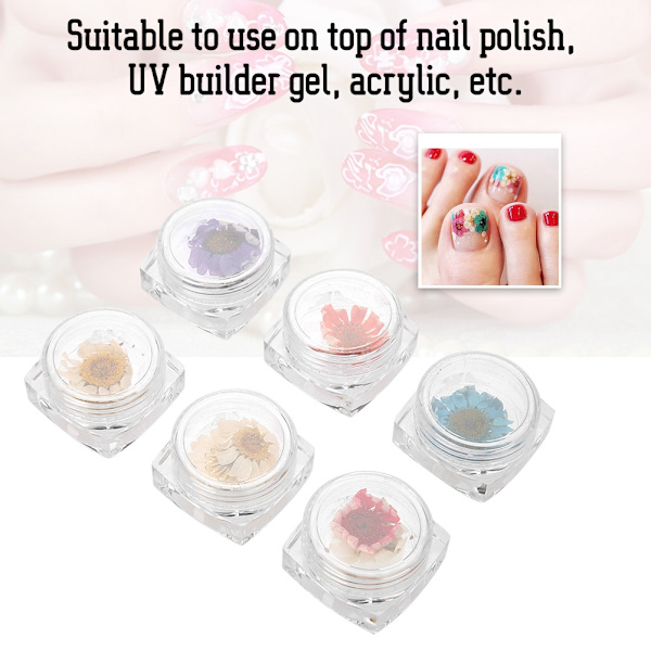 6 Väriä Kynsien Luonnollinen Kuivakukka Deko Manikyyri Kukallinen Tarra Kynsi Taide DIY Työkalu