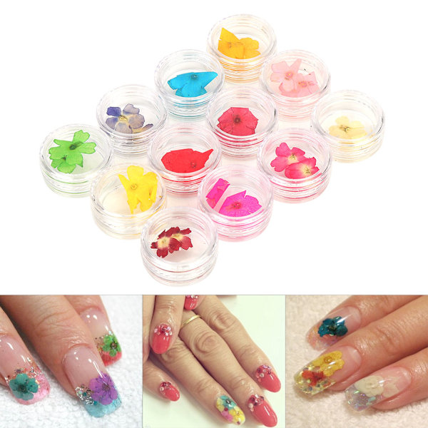12 Färger Naturliga Torkade Blommor för Akryl UV Gel Nagelkonst Tips Design Case DIY Dekoration