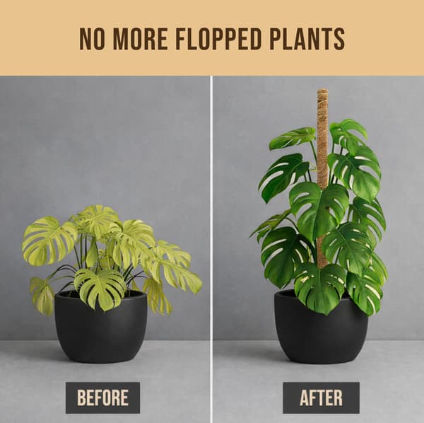 2-pack 28 tum böjbara kokosfiber-mossstöd, växtstöd för klätterväxter inomhus