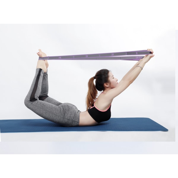Yoga Stretch Band Fitness Rally Band Resistance Band Elastic Band Digital Stretch Band (Tio rutor - blå lila)
