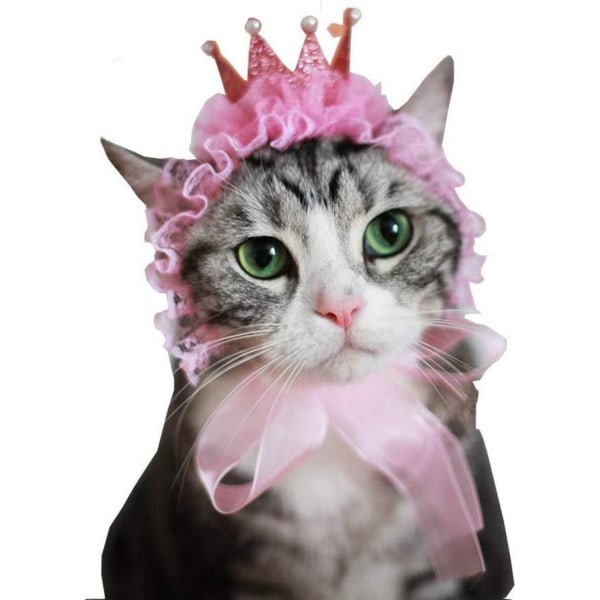 Charmig Pet Princess Hat Härlig pärlspets med rem Pannband Huvudbonad Pet Head Smycken Tillbehör för fest användning Utmärkt kvalitet och populär
