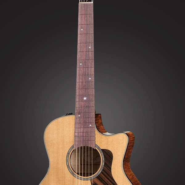 Rosenträ 20 Band Akustisk Gitarr Greppbräda Fingerboard Ersättning Del