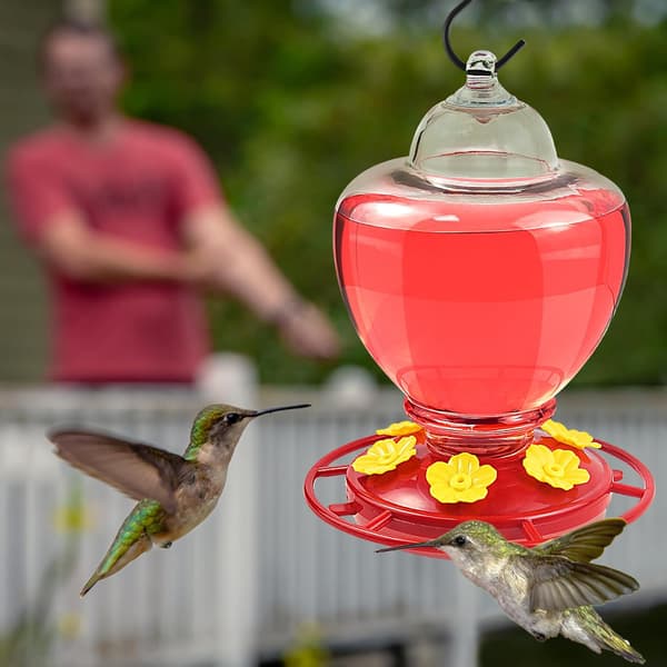 Kolibri Foderautomat, Plastik 40 oz Hængende Kolibri Foderautomater til Udendørs Myre og Bi Sikker med 6 Blomster Foder Port til Have Ya