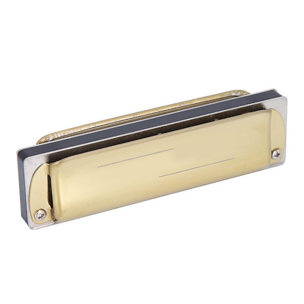 Blues Harmonica 10-håls munspel diatonisk harpa Db-nyckel nybörjarpresenter blåsinstrument gyllene