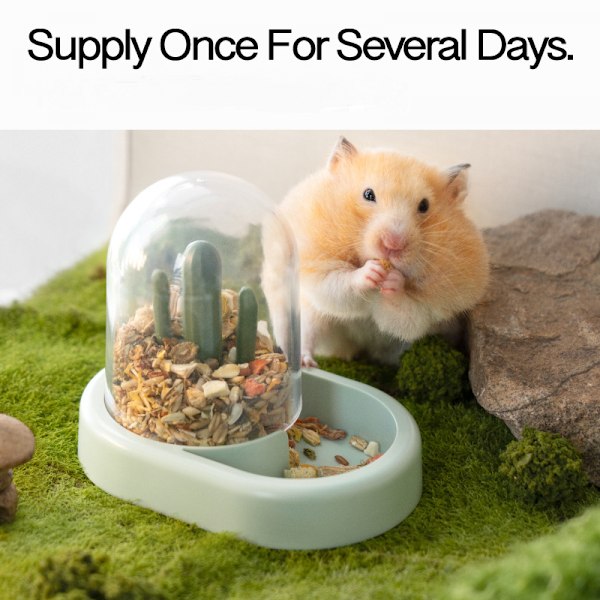 Hamster Foder Smådyr Kæledyr Piller Foder Opbevaringsskål - Dværghamster Gerbils Mus Pindsvin Marsvin Ideel Fodring（grøn）