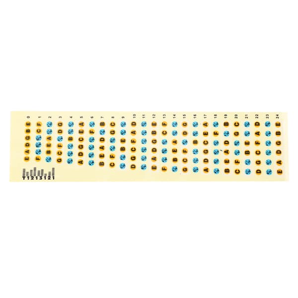 Guitar Fretboard Note Decals Fingerboard Frets Map Sticker til øvelse