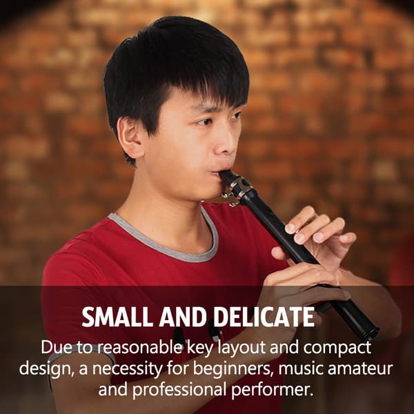 LADE Mini E-Flat Sax Saxofon med Mundstykke Instrument til Begyndere (Sort)