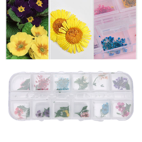12 färger / låda torkade blommor nageldekoration DIY nagelkonstdekoration tillbehörE stil