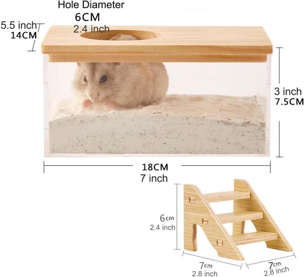 Sandbadeboks til hamster, transparent rektangulær gravebeholder med stige - Stort støvbad & legesand til dværg- & syriske hamstere Rectangle