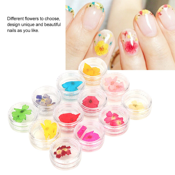 12 Färger Naturliga Torkade Blommor för Akryl UV Gel Nagelkonst Tips Design Case DIY Dekoration