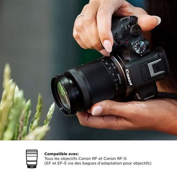 CANON EOS R10 + RF-S 18-150mm F3.5-6.3 IS STM + EF-EOS R-adapter Svart