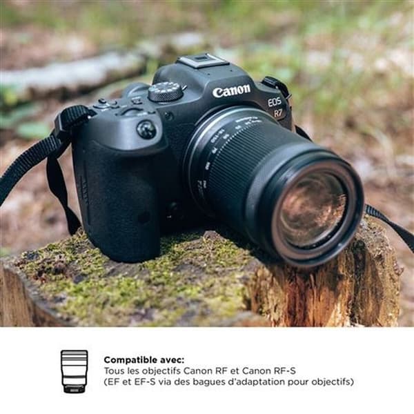 CANON EOS R7 + RF-S 18-150mm F3.5-6.3 IS STM + EF-EOS R-adapter Svart