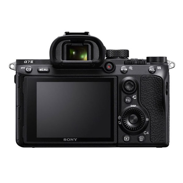 SONY ALPHA 7 III + SIGMA 28-70mm f/2.8 DG DN