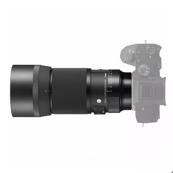 SIGMA Objektiv 105mm f/2.8 DG DN MACRO ART L-mount