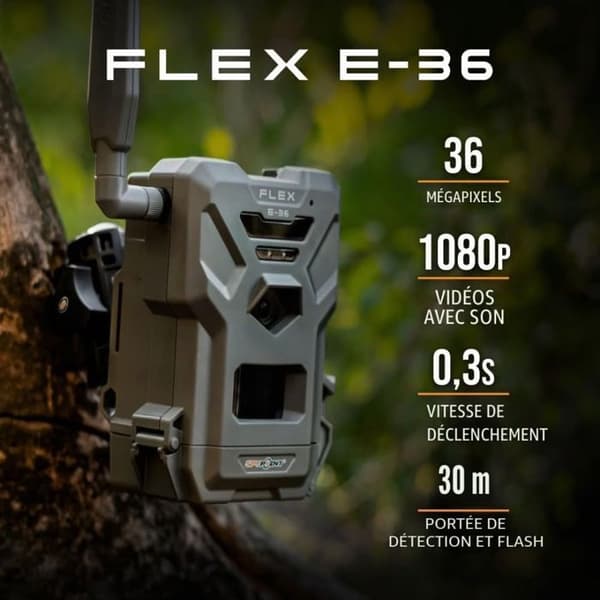 SPYPOINT Valokuvausloukkupaketti Flex E36 Elite - SPBUNDLEE36