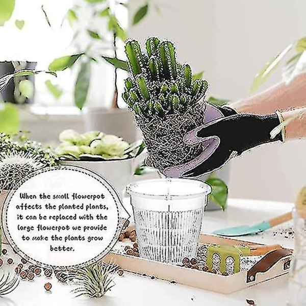 10 Pak Perforerede Klar Plastik Orkide Potter, Opdelte Åndbare Potter, Holdbare Klar Polypropylen Blomster, Velegnet Til Indendørs Planter, Sukkulenter.