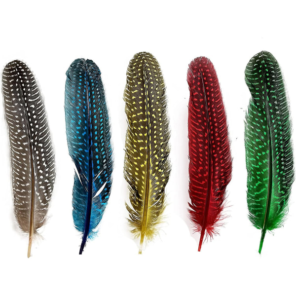 6-9 tums naturlig Guinea Wing fjäderdräkt fjäder för gör-det-själv, smycken och kläder dekorationspaket med 20-blått