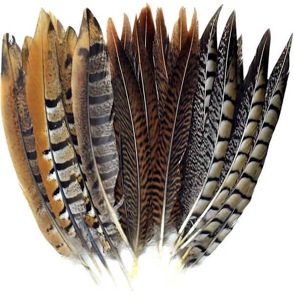 21 stk. 20-25 cm naturlige fasanfjær for DIY-håndverk, bryllup, hjemmefestdekorasjoner, 3 stiler