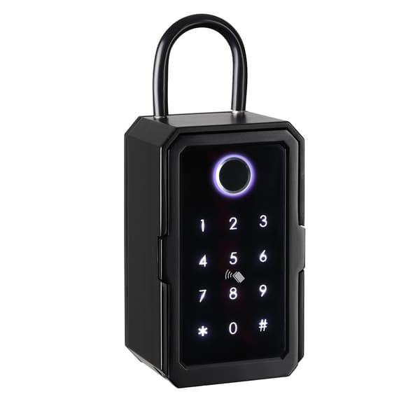 Fingerprint Nyckelbox Lösenordsförvaringsbox Graffiti wifi ttlock, Bluetooth fingeravtryckslås
