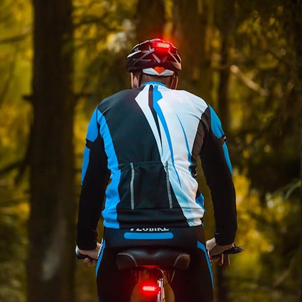 Cykelbaklykta 2-pack, Baklykta för cykling på natten, Bakre cykelbaklyktor med lång batteritid, Lätt att installera USB-uppladdningsbar (Röd)