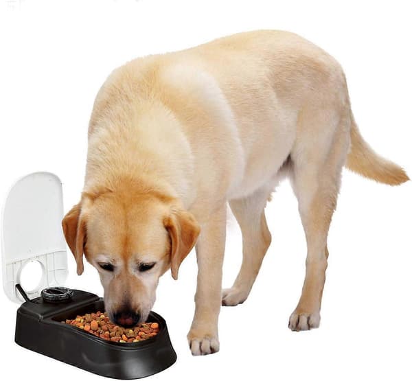 Pawise Automatisk Foderautomat til Kæledyr 300ml 2-Måltids Automatisk Foderdispenser Tidsindstillet Madskål til Hunde Katte B