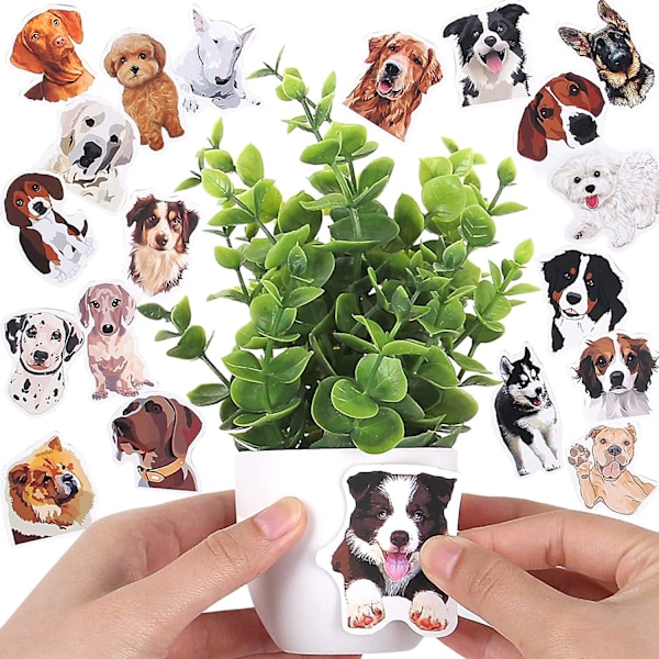 Kunstige Planter Små Falske Potteplanter, 8 Stk. Mini Eukalyptus Potte Faux Dekorative Græsplante Med Hvid Potte Til Boligindretning, Indendørs, Kontor, De