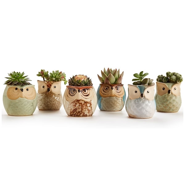 6-pack Uggla Kruka Keramik Flytande Glasyr Bas Serie Set Succulent Växtkruka Kaktus Växtkruka Blomma Kruka Behållare Planterare Med Dränering