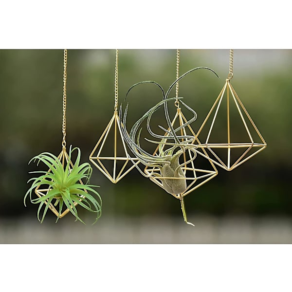 Luftväxthållare Hängande Geometriska Luftväxter Planterhängare 4 st Tillandsia Hållare Display 2 Storlekar Himmeli Hängare Med Kedjor För Heminredning (gol