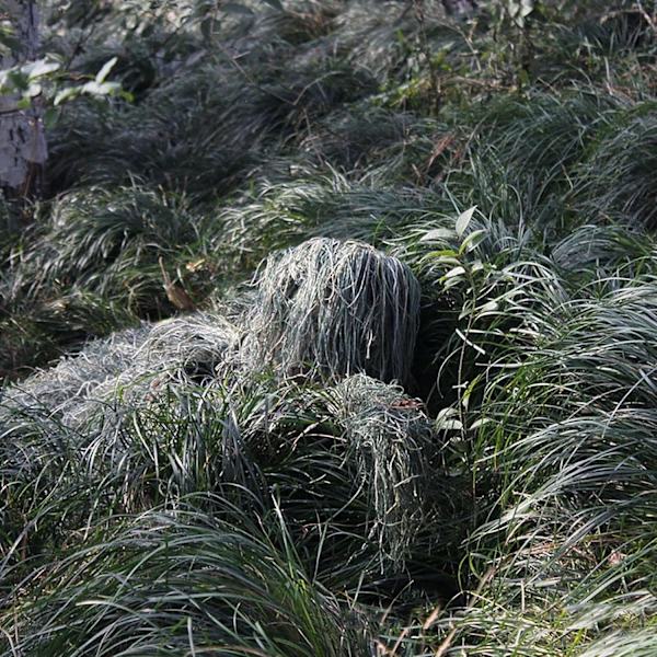5-i-1 Ghillie Suit, Lätt Woodland Ghillie Suit, Kamouflagejaktkläder, Passar för Personer med en Längd på 175-188 cm