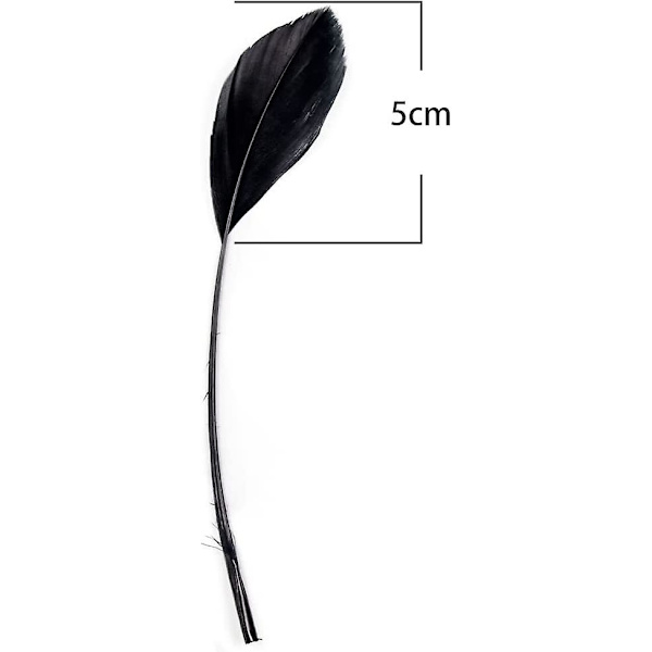 Naturlige sorte fjer til hattefremstilling, fascinatorer, dekoration, strippede coque-fjer, pakke med 50 (sort)