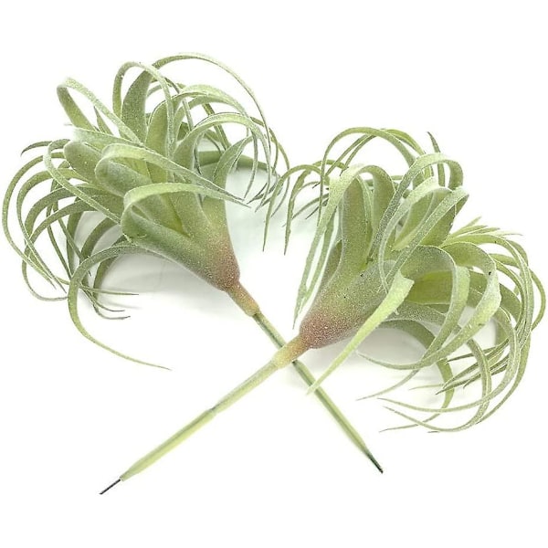 2 stk. Kunstige sukkulenter Planter Ekte Følelse Livaktige Sukkulenter Planter Falske Grønne Planter Hage DIY Hjemmekontor Dekor Ornament (flocking Air)