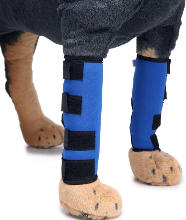(blå S) 2-pack hundledskyddsförband - 1 par hundförband - hundknäskydd - hundbensbandage