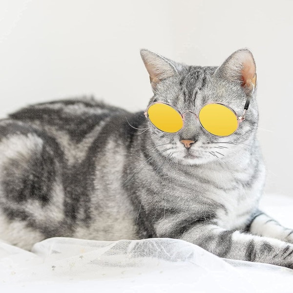 4-pack Runda kattsolglasögon Klassiska Retro UV-skydd Liten hundsolglasögon för fest Cosplay-kostym Söt rolig husdjursfotorekvisita