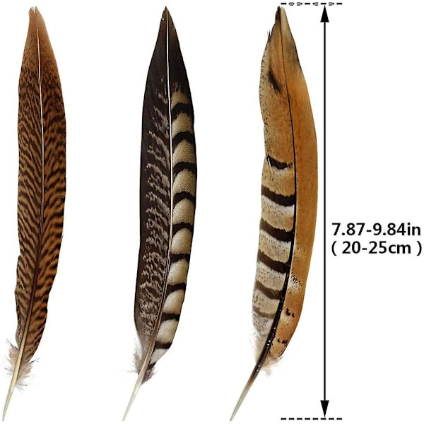 21 stk. 20-25 cm Naturlige Fasanfjer til DIY Håndværk Bryllup Hjemmefest Dekorationer, 3 Stilarter
