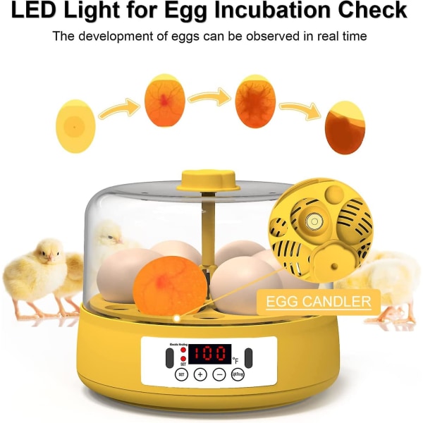 Äggkläckare för kläckning av ägg, digital mini helautomatisk äggkläckare 6 ägg, inbyggd LED-ägglysning, uppfödare för kycklingar, ankor, fåglar