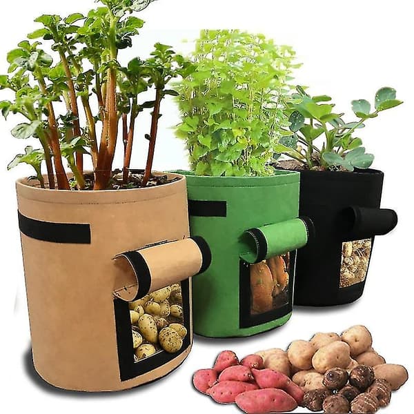 Bataatin Istutuskassi Kasvien Istutuskassi 10Gallon green