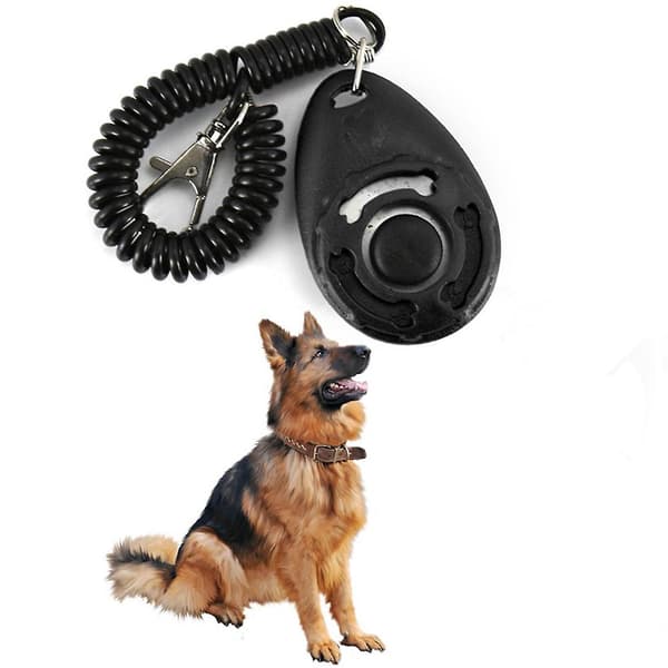4 st Professionella Hundklicker med Stor Knapp och Handledsrem